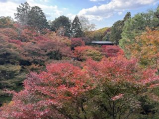 12月　ギャラリー営業日のお知らせ